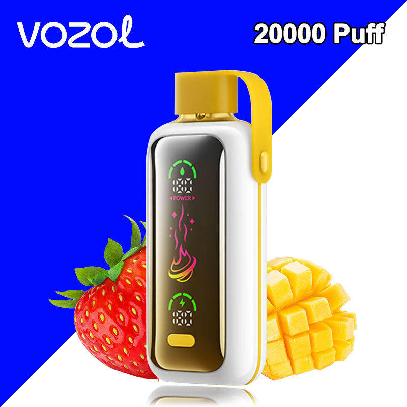 Vozol Star 20000 Puffs Disposable Vape European 24ml E-liquid 650mAh Battery 20 Flavors