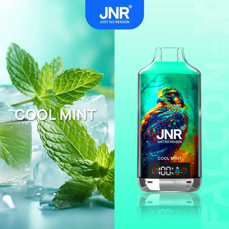 JNR Falcon X 18000 (0/2/5% Nic) | 0.6Ω Mesh Coil-Disposable Vape 18000 Puffs -950mAh Battery, 24ml E-liquid, Multiple Nicotine 11 Flavors