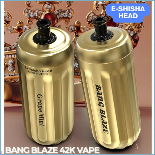 Bang Blaze 42000 Puffs Vape Best Seller Bulk Price-1000mAh Battery, 30ml E-liquid, Multiple Nicotine 14 Flavors