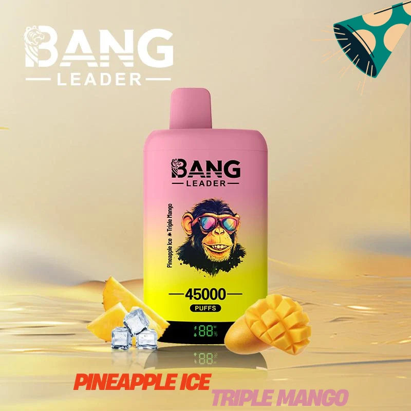 Bang Leader 45000 Puffs Dual Flavors Factory Direct Supply Bulk Price-650mAh Battery, Multiple Nicotine 12 Flavors