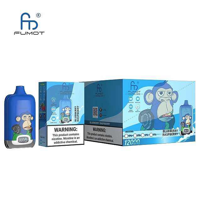 RandM Digital Box 12000 puffs 0% 2% 3% 5% Nicotine LED Display Disposable E Cigarettes