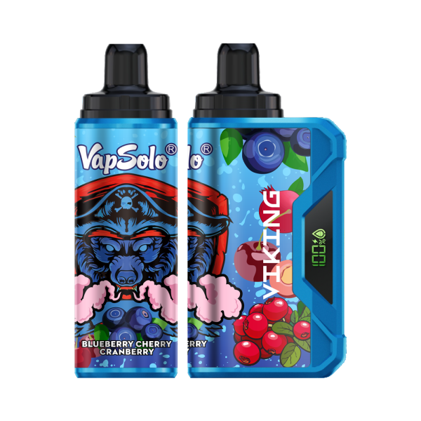 VapSolo Viking 12K Puffs Disposable Vape | Ajustable Airflow,LCD Display,Type-C port