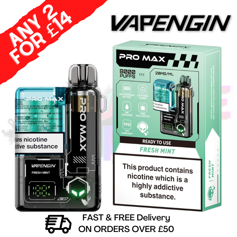 Fresh mint VapenGin Pro Max 8000 Puff 8K Bar