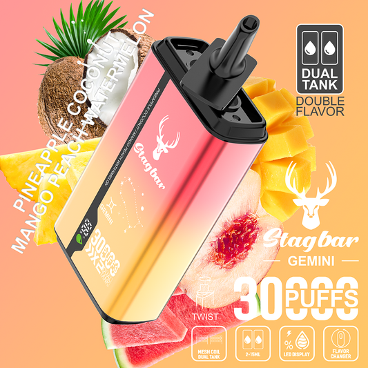EU Warehouse Stag bar GEMINI 30000 Puffs Disposable Vape Wholesale-750mAh battery, 15ml E-liquid, Multiple Nicotine 10 Flavors