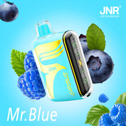 JNR Digital Box Capsule 15000 (Box of 10)850mAh 20ml 20 Flavors