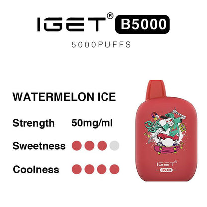 IGET B5000 Disposable Vape - 5000 Puffs, 10ml, 40mg Nicotine, Rechargeable