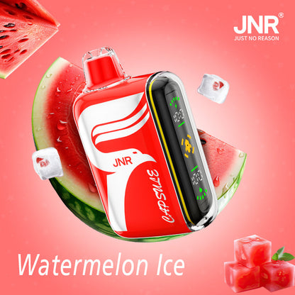 JNR Digital Box Capsule 15000 (Box of 10)850mAh 20ml 20 Flavors