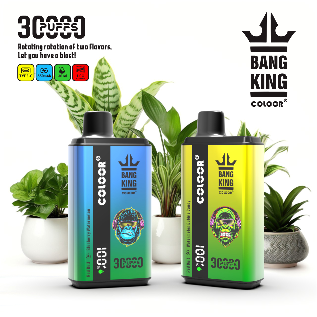 Bang King 30000 Puffs Disposable Vape  12 Flavors-850mAh Battery, 30ml E-liquid, Multiple Nicotine 12 Flavors