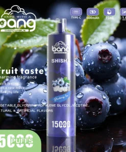 Bang 15000 Puffs Vape 15K Disposable Vape Pen E Cigarette Prefilled 25ml 600mAh Disposable Vape 12 Flavors