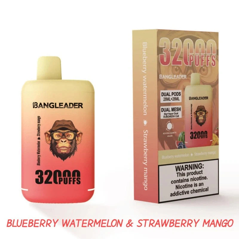BANGLEADER 32000 PUFFS DUAL FLAVORS Vape Good Sale Discount Price-650mAh Battery, 28ml E-liquid, Multiple Nicotine 12 Flavors