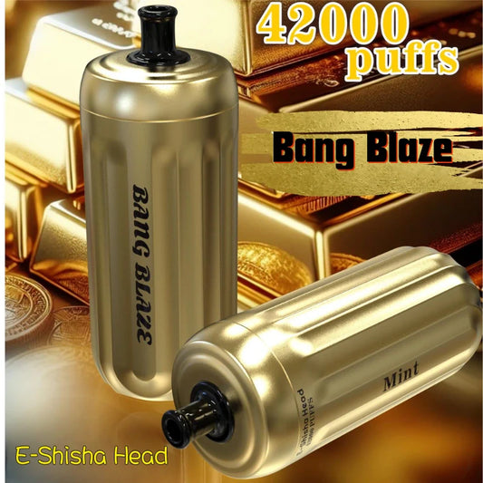 Bang Blaze 42000 Puffs Vape Best Seller Bulk Price-1000mAh Battery, 30ml E-liquid, Multiple Nicotine 14 Flavors