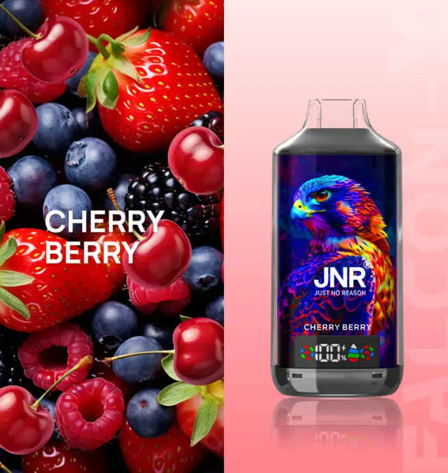 JNR Falcon X 18000 Puffs Disposable Vape -950mAh Battery, Multiple Nicotine 11 Flavors