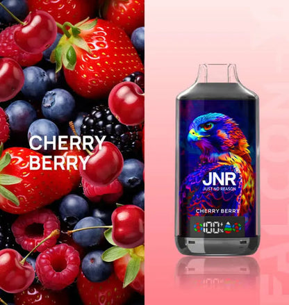 JNR Falcon X 18000 Puffs Disposable Vape -950mAh Battery, Multiple Nicotine 11 Flavors