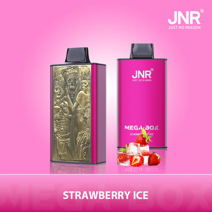 JNR Mega Box 25000 Puffs Disposable Vape (Box of 10) 20 Flavors