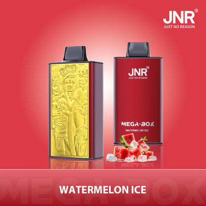 JNR Mega Box 25000 Puffs Disposable Vape (Box of 10) 20 Flavors