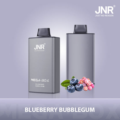 JNR Mega Box 25000 Puffs Disposable Vape (Box of 10) 20 Flavors