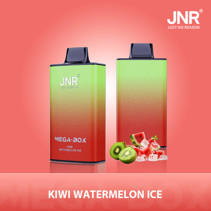 JNR Mega Box 25000 Puffs Disposable Vape (Box of 10) 20 Flavors