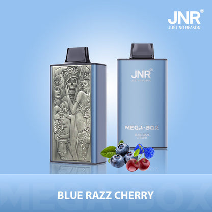 JNR Mega Box 25000 Puffs Disposable Vape (Box of 10) 20 Flavors