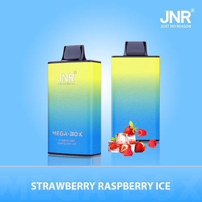 JNR Mega Box 25000 Puffs Disposable Vape (Box of 10) 20 Flavors