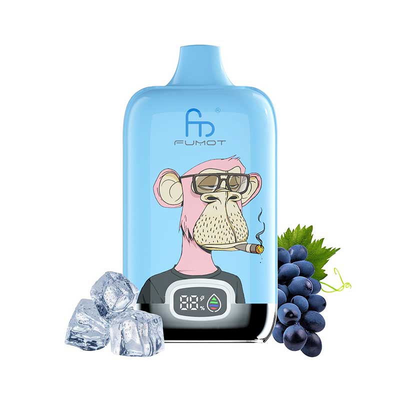 RAndM Digital Box 12000 Puffs Disposable Vape Box Of 10