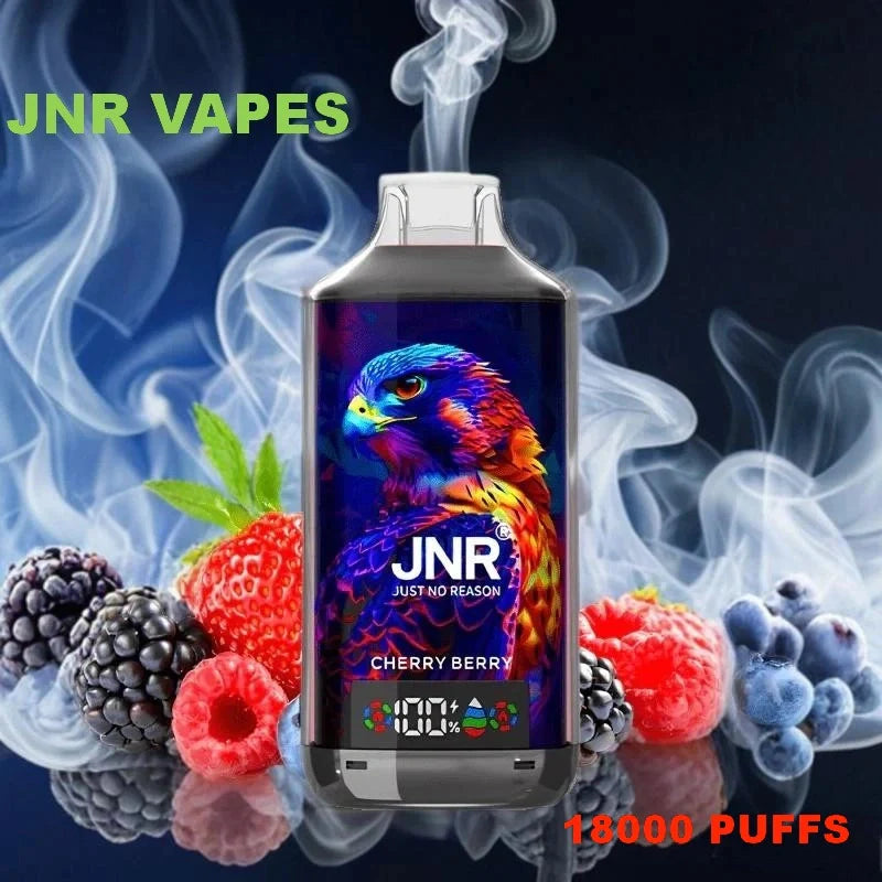 JNR Falcon-X 18000 PUFFS Factory Price Discount Sale-950mAh Battery, 24ml E-liquid, Multiple Nicotine 29 Flavors