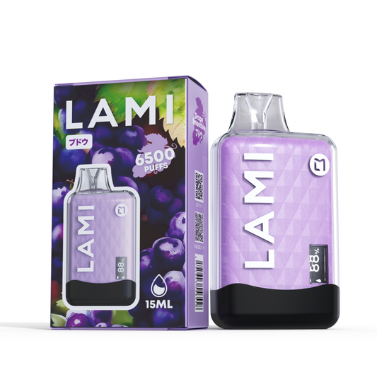 LAMI M8 6500 Puffs Disposable Vape Wholesale