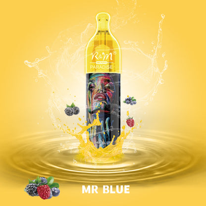 R&M Paradise 10000 Puffs Disposable Vape Box Of 10