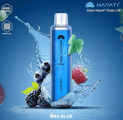 Hayati Pro Max 4000 Puffs  Box Of 10