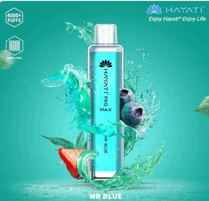 Hayati Pro Max 4000 Puffs