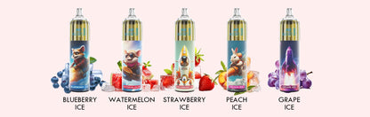 JNR Rocket X 12400 Puffs Disposable Vape (Box of 10) 21 Flavors