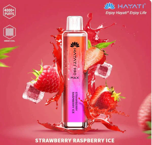 Hayati Pro Max 4000 Puffs  Box Of 10