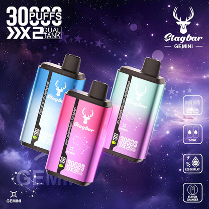 EU Warehouse Stag bar GEMINI 30000 Puffs Disposable Vape Wholesale-750mAh battery, 15ml E-liquid, Multiple Nicotine 10 Flavors