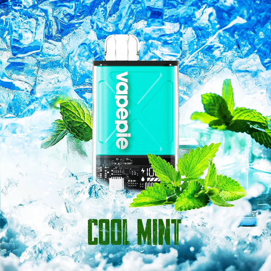 Cool Mint & VAPEPIE Ultra 12000 PUFFS (🔥Most people choose)