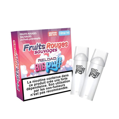 BIG PUFF Reload - Pack de 2 Cartouches 2 ml 600 Puffs