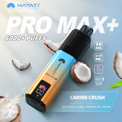 Hayati Pro Max+ 6000 Puffs Disposable Vape