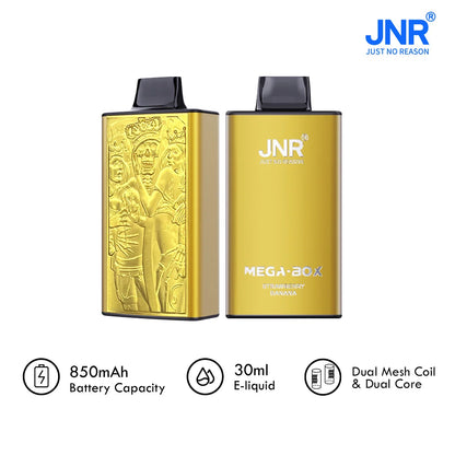 JNR Mega Box 25000 Puffs Disposable Vape (Box of 10) 20 Flavors