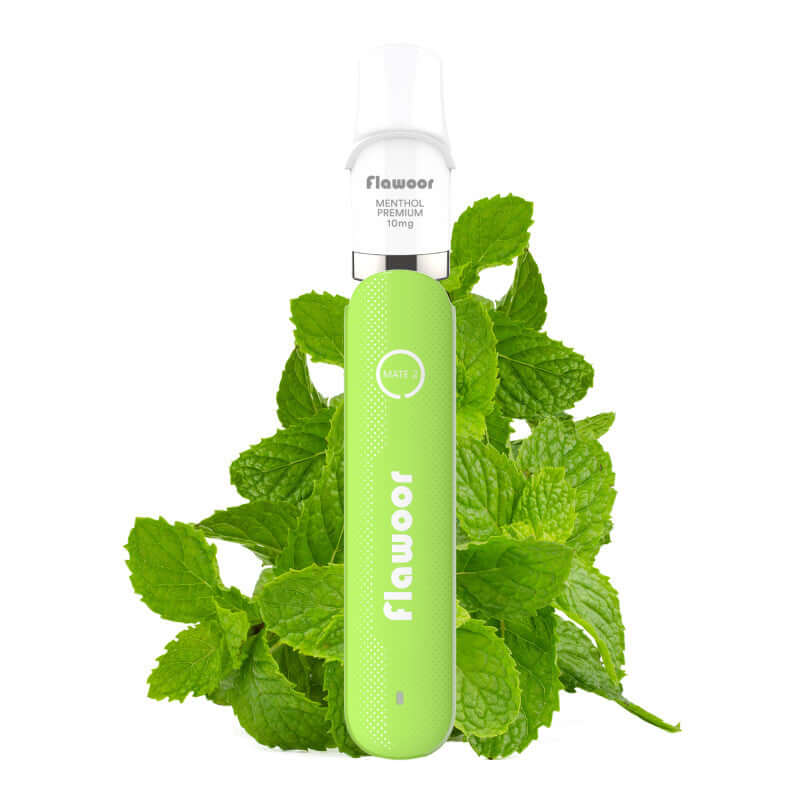FLAWOOR Mate 2 - Pod Jetable 600 Puffs