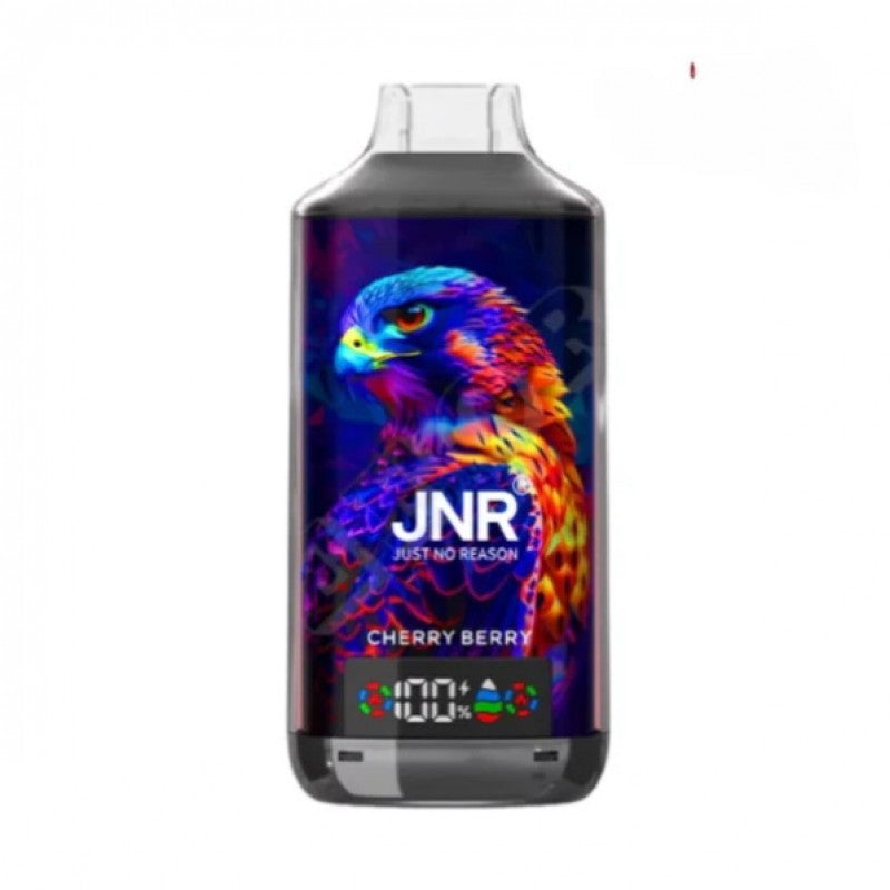 JNR Falcon X 18000 Puffs Disposable Vape（0%- 5%Nicotine)-950mAh Battery, 24ml E-liquid, Multiple Nicotine 30 Flavors