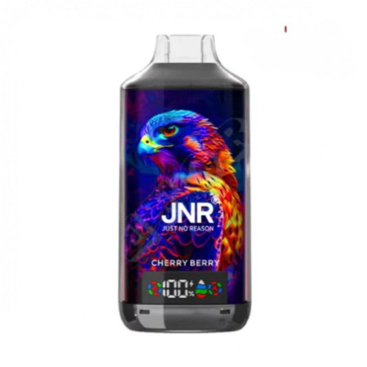 JNR Falcon X 18000 Puffs Disposable Vape（0%- 5%Nicotine)-950mAh Battery, 24ml E-liquid, Multiple Nicotine 30 Flavors
