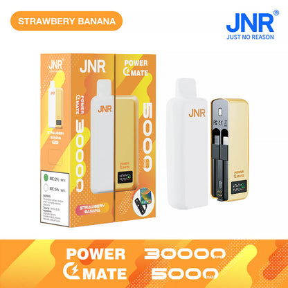 JNR PowerMate 30000 Puffs Disposable Vape In Sales-5500mAh Battery, 19ml E-liquid, Multiple Nicotine 10 Flavors