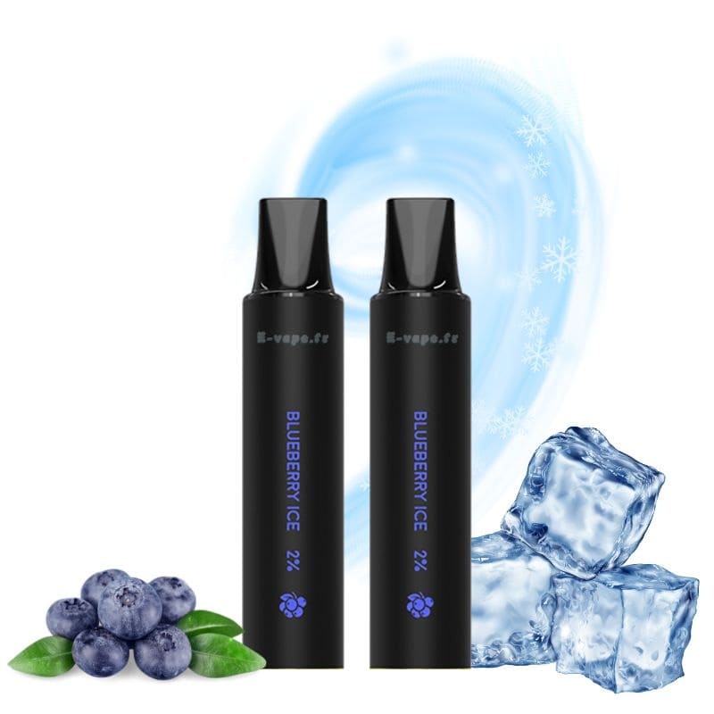 LOST VAPE Rebar Next C2 - Pack de 2 Cartouches 2 ml 600 Puffs