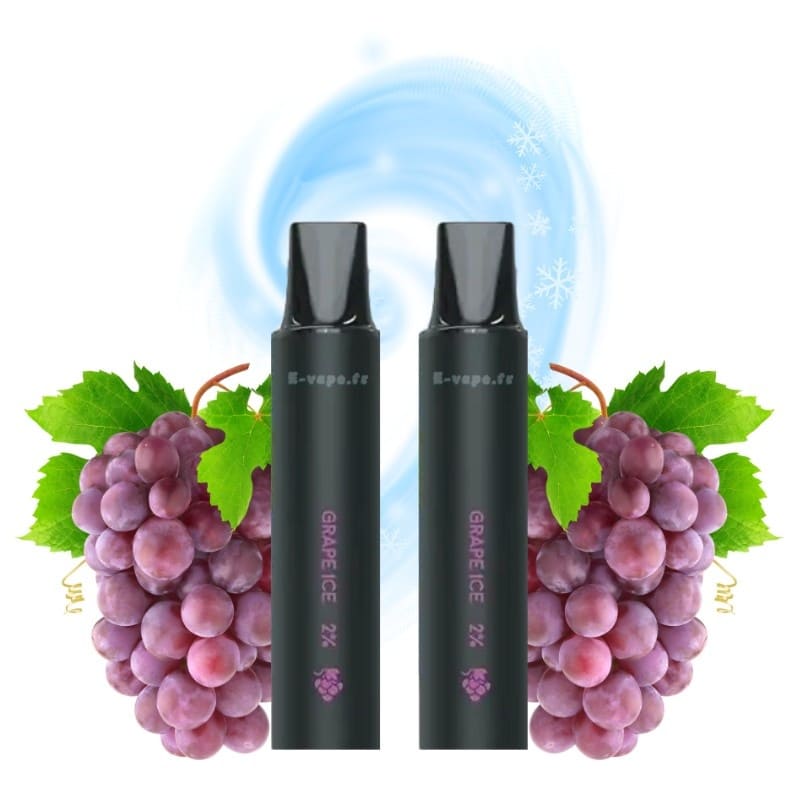 LOST VAPE Rebar Next C2 - Pack de 2 Cartouches 2 ml 600 Puffs