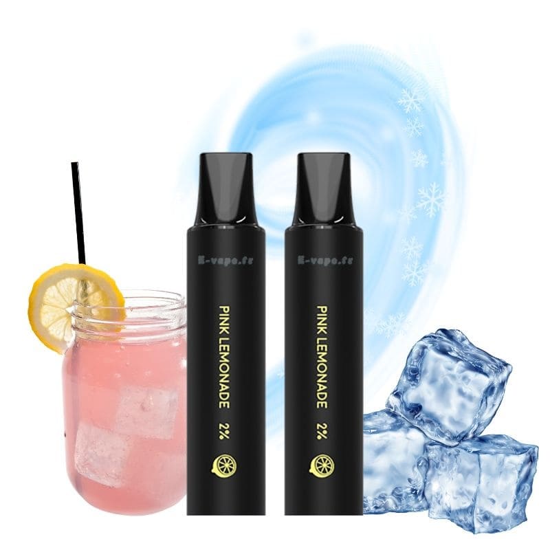 LOST VAPE Rebar Next C2 - Pack de 2 Cartouches 2 ml 600 Puffs