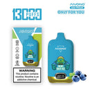 AIVON0 13000 Puffs Disposable Vape  20ml 500mAh 10 Flavors