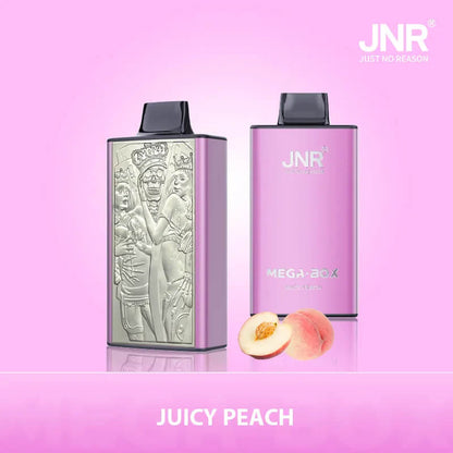 JNR Mega Box 25000 Puffs Disposable Vape 30ml 850mAh 20 Flavors