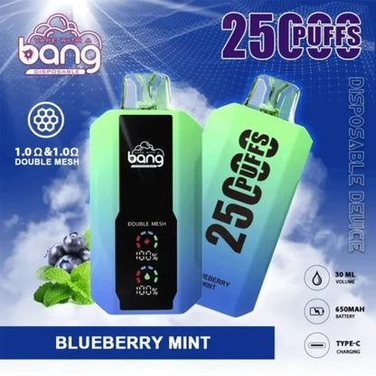 Bang King Double Crystal 25000 Puffs Vape 25K Disposable Vape Pen E Cigarette Prefilled 25ml 650mAh 25K Puff Disposable Vape | 30ml Capacity | Double Mesh Coil
