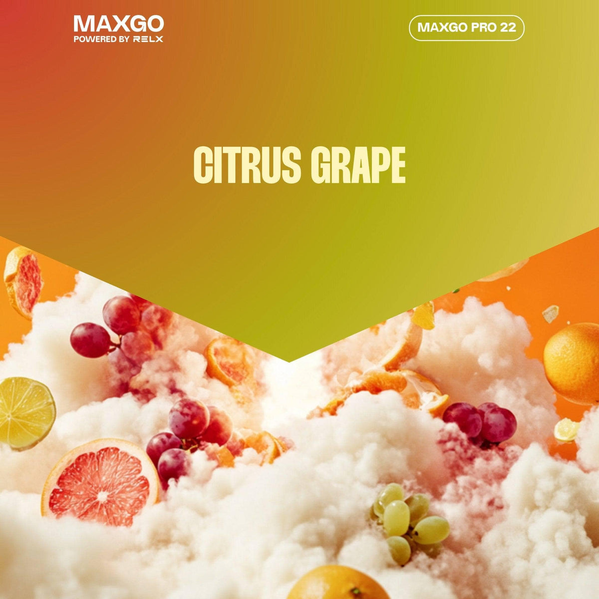 RELX MAXGO Pro 22