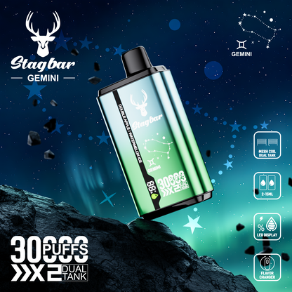EU Warehouse Stag bar GEMINI 30000 Puffs Disposable Vape Wholesale-750mAh battery, 15ml E-liquid, Multiple Nicotine 10 Flavors