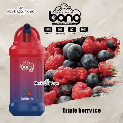 Bang King 12000 Puffs Disposable Vape(0% to 5% Nicotine)- 23ml E-Liquid, 850mAh Battery 20 Flavors