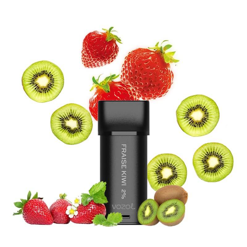 VOZOL Switch 600 puffs - Pack de 2 Cartouches 2ml capacity 12 FLAVORS